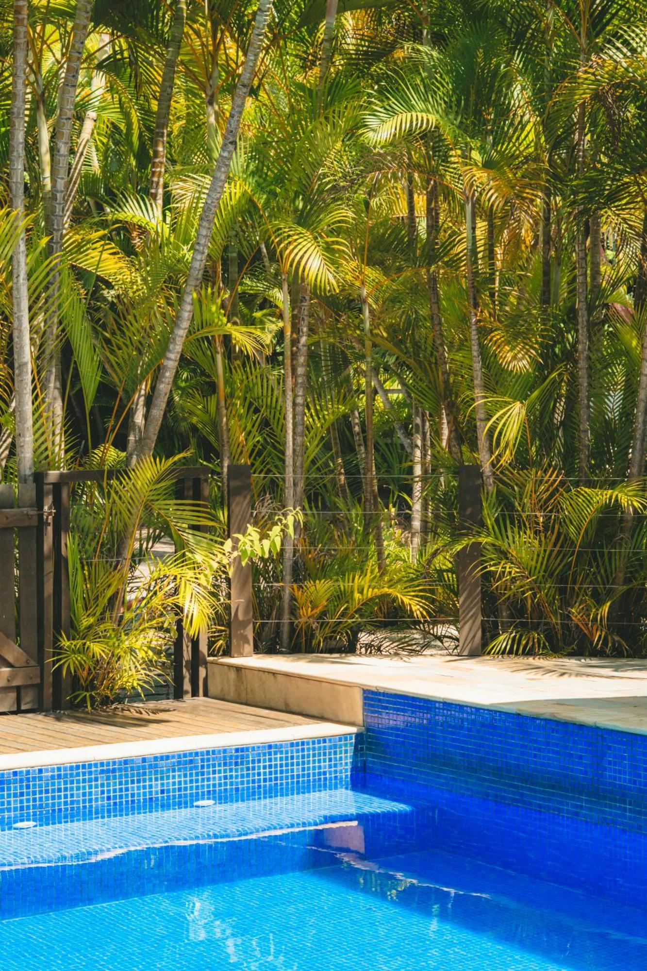 Pousada Vila Tamarindo Eco Lodge フロリアノポリス エクステリア 写真