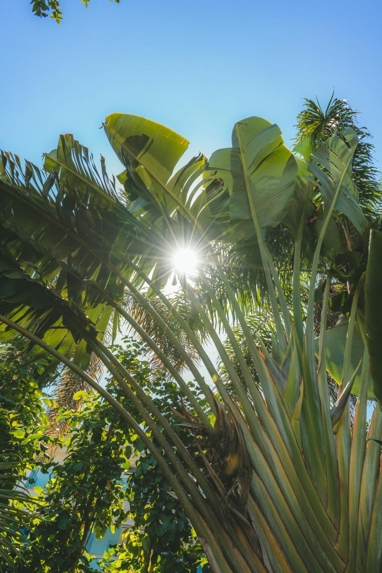 Pousada Vila Tamarindo Eco Lodge フロリアノポリス エクステリア 写真